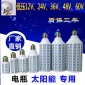 直流12V低压LED玉米灯太阳能灯交流ACDC24V36V48V60V夜市电瓶灯泡
